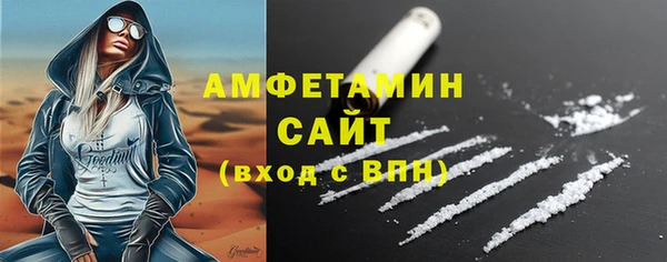 ГАЛЛЮЦИНОГЕННЫЕ ГРИБЫ Аркадак