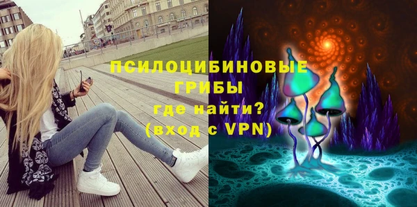 СК Арсеньев