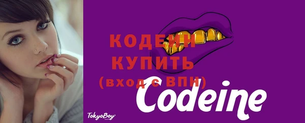 СК Арсеньев