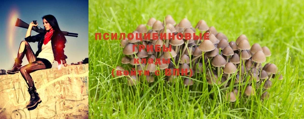 дурь Армянск