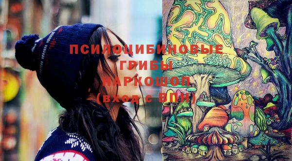 ГАЛЛЮЦИНОГЕННЫЕ ГРИБЫ Аркадак