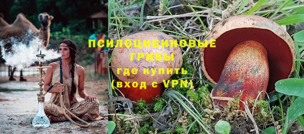 ГАЛЛЮЦИНОГЕННЫЕ ГРИБЫ Аркадак